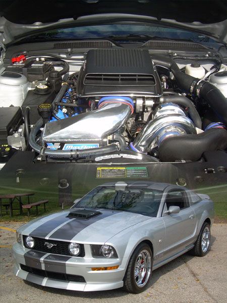 Tracy Donohue's 2006 GT